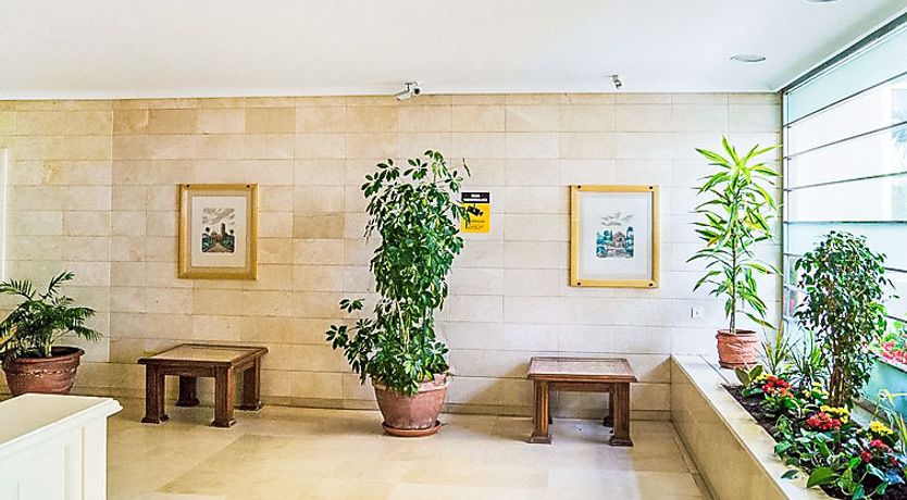 Photo of Puerto Paraíso