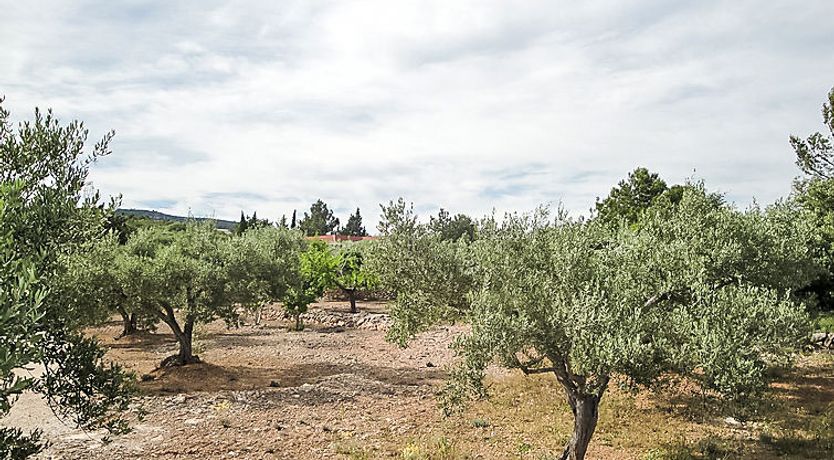 Photo of El Rinconcito