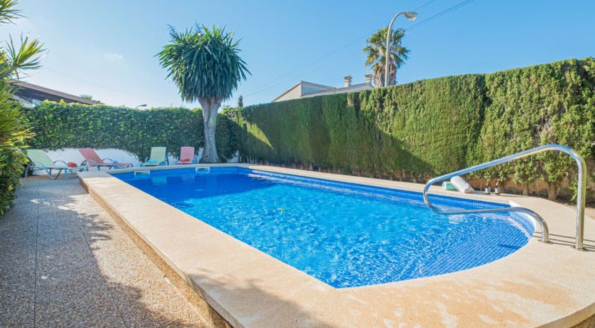 Photo of Dofins Bahia Azul