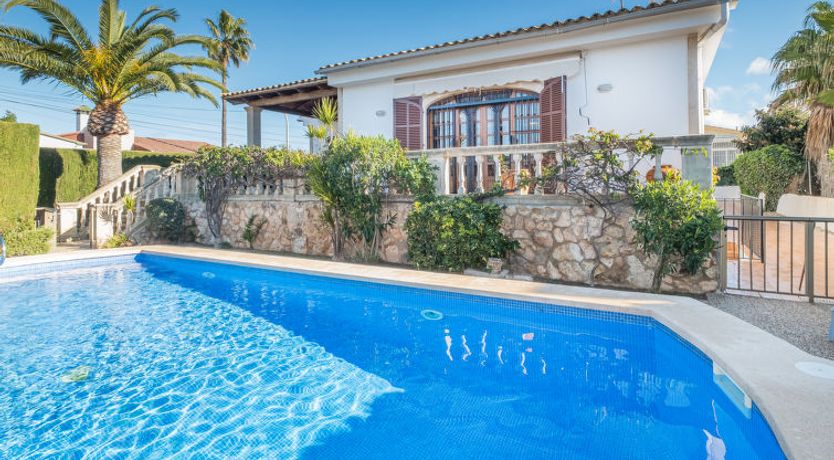 Photo of Dofins Bahia Azul