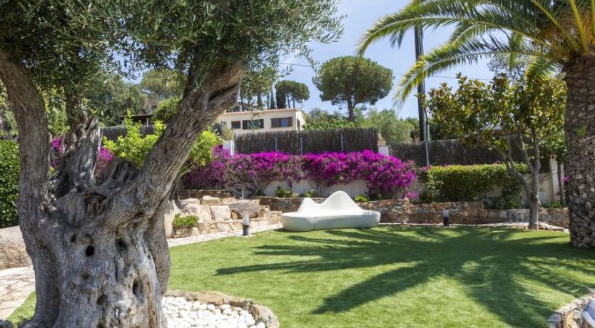 Photo of Mas Companys