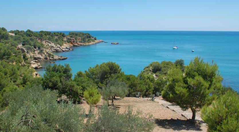 Photo of Mas del Guixe