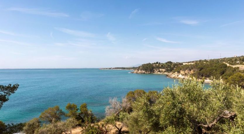 Photo of Mas del Guixe