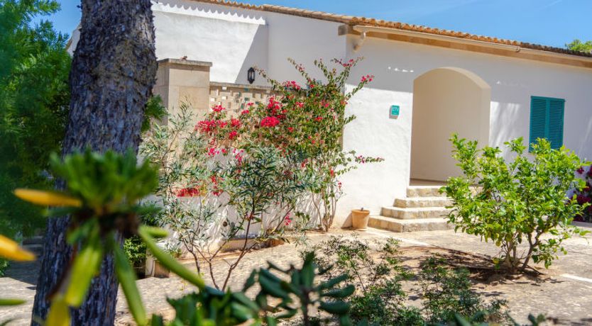 Photo of Son Granada