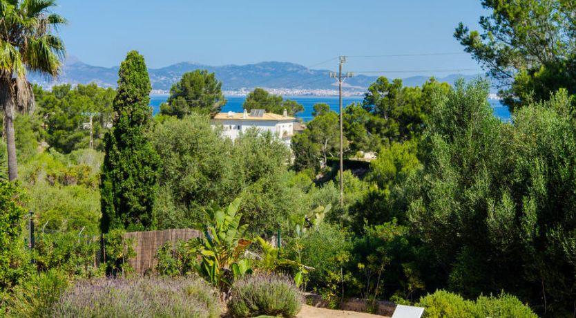 Photo of Son Granada