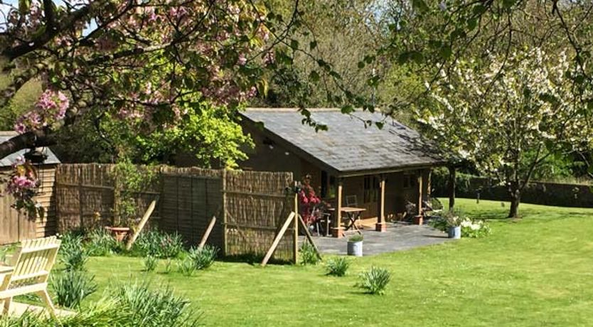 Photo of The Springs