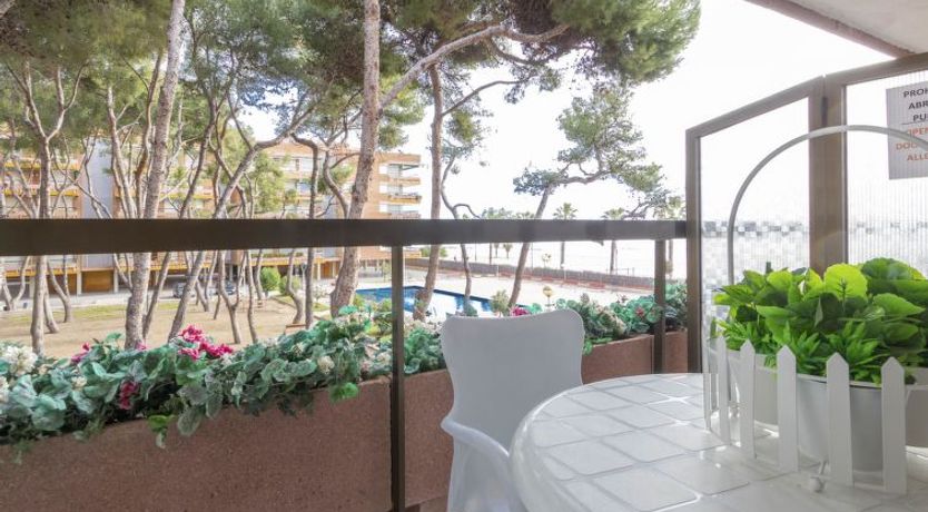 Photo of Els Pins Cyclamen Apartment 2