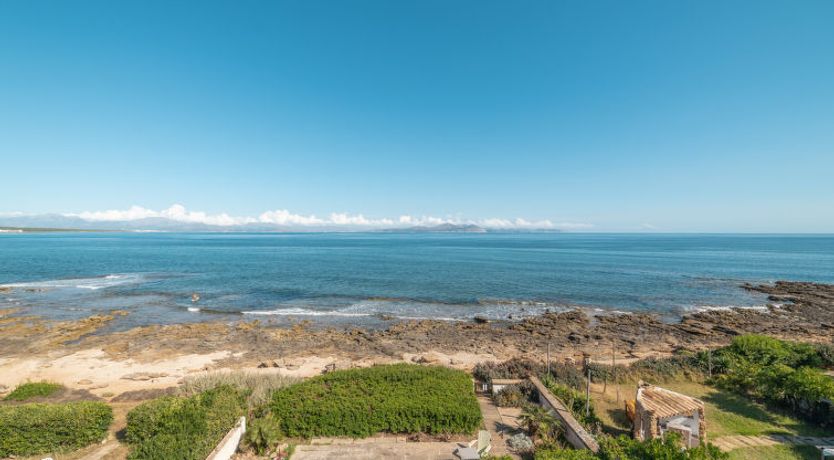 Photo of Ran de Mar 35