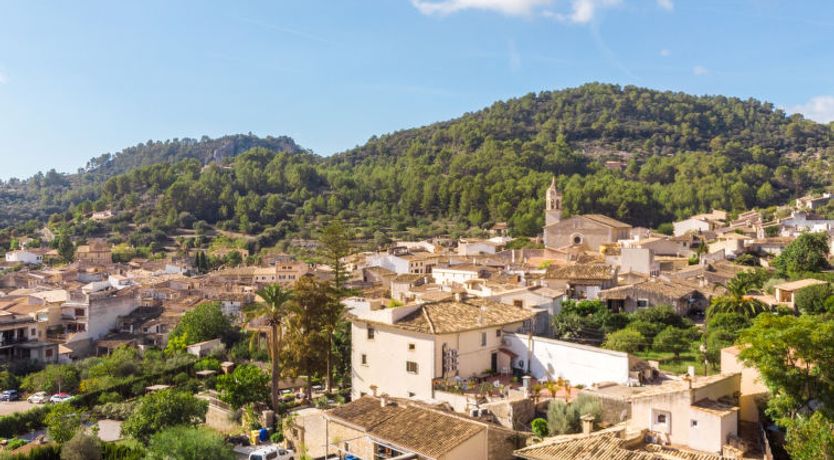 Photo of Turixant Dalt