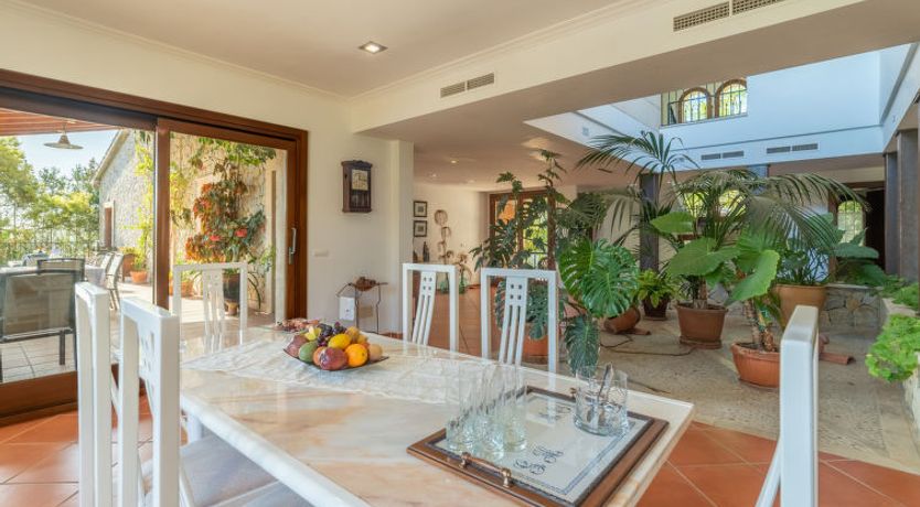 Photo of Turixant Dalt