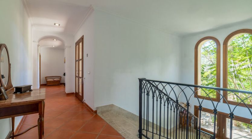 Photo of Turixant Dalt