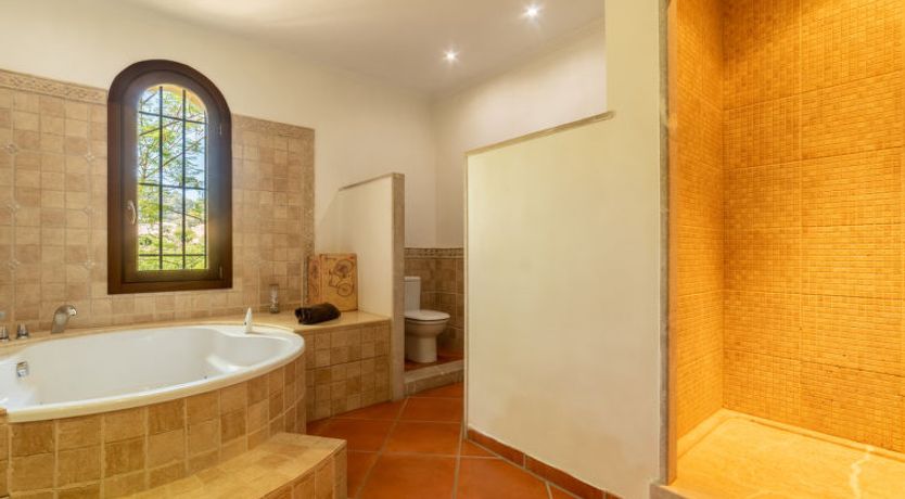 Photo of Turixant Dalt