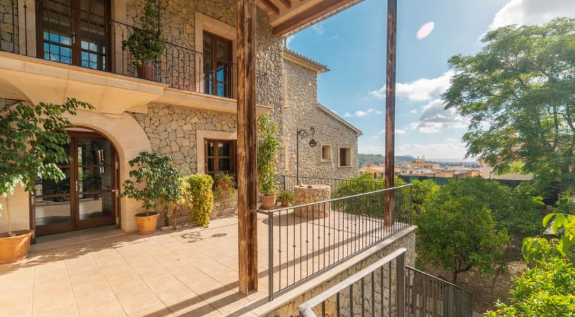 Photo of Turixant Dalt