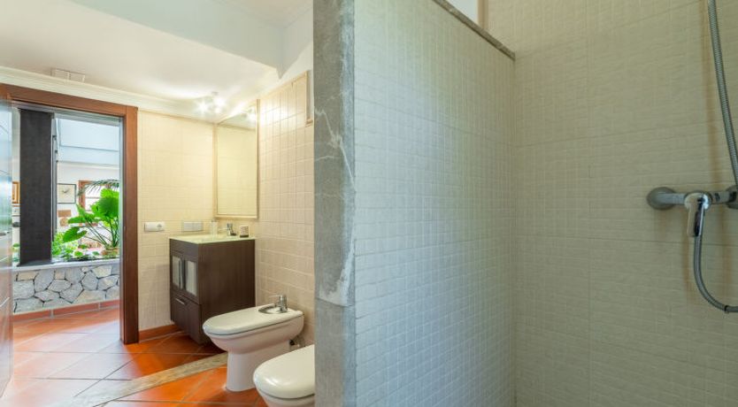 Photo of Turixant Dalt