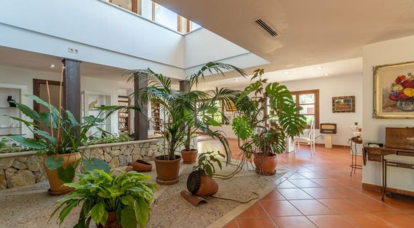 Photo of Turixant Dalt