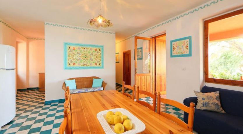 Photo of Bouganville