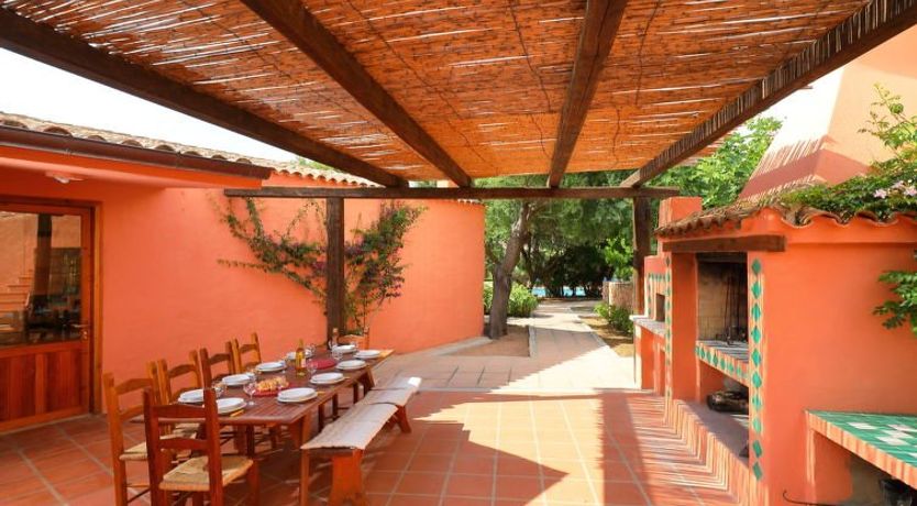 Photo of Bouganville