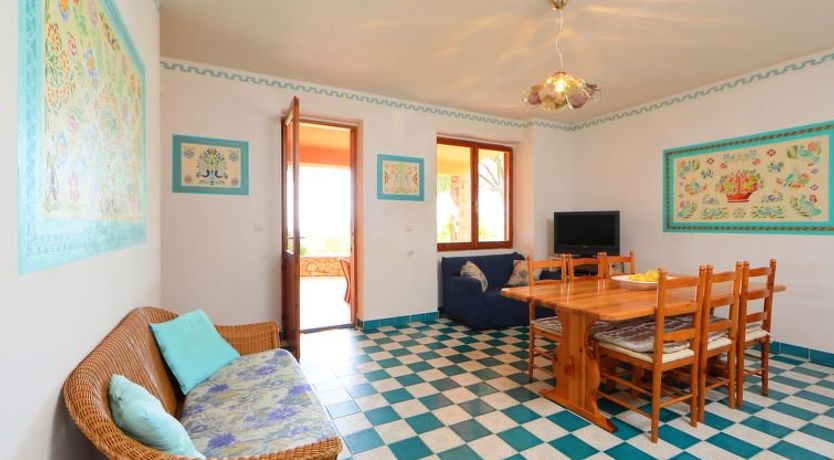 Photo of Bouganville