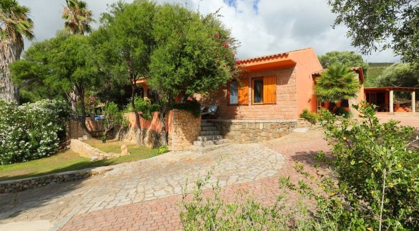 Photo of Bouganville