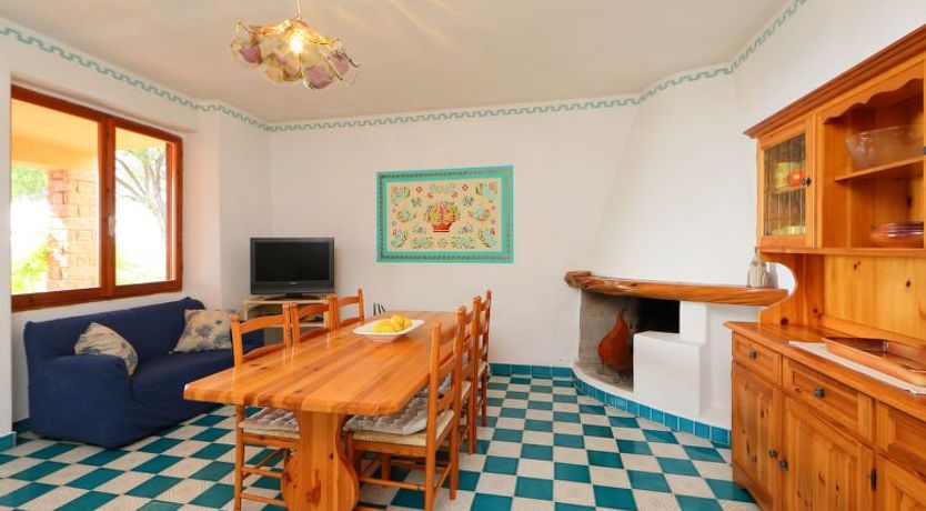 Photo of Bouganville