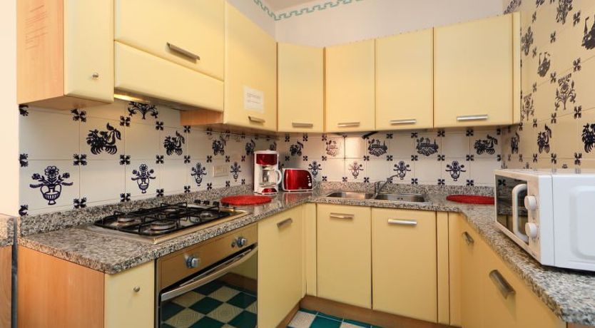 Photo of Bouganville