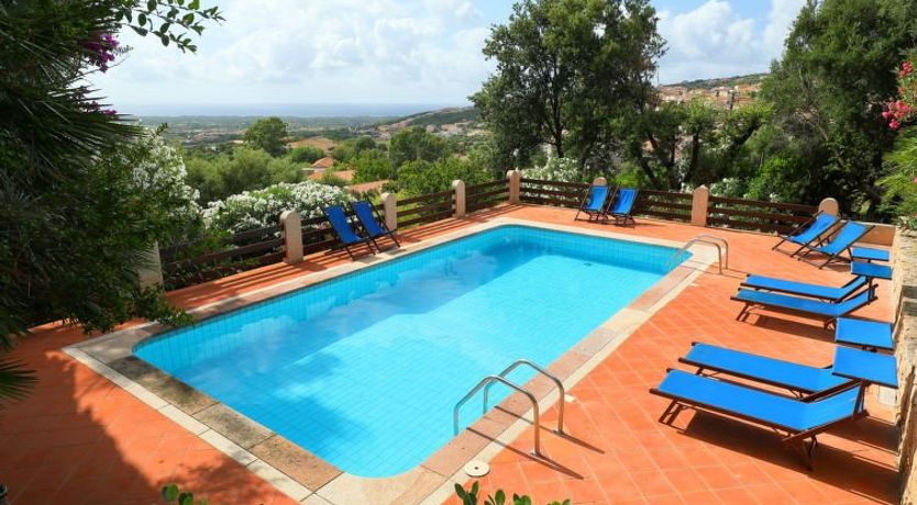 Photo of Bouganville