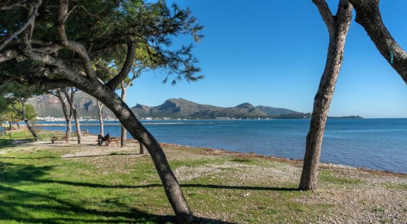 Photo of Oratge Beach Views