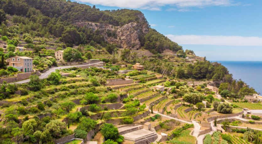 Photo of Sa Caseta des Camp