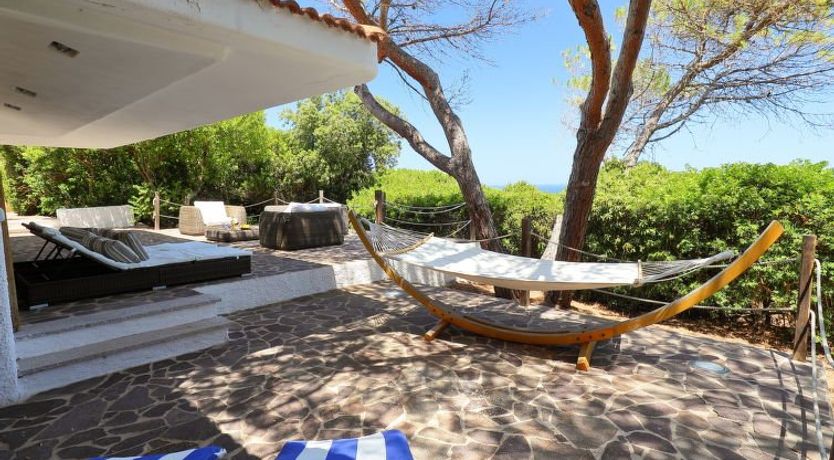 Photo of Audarya (VGM610)