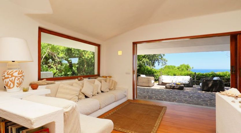 Photo of Audarya (VGM610)