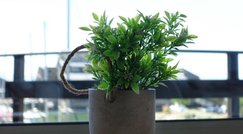 Photo of Les Marinas Apartment 3