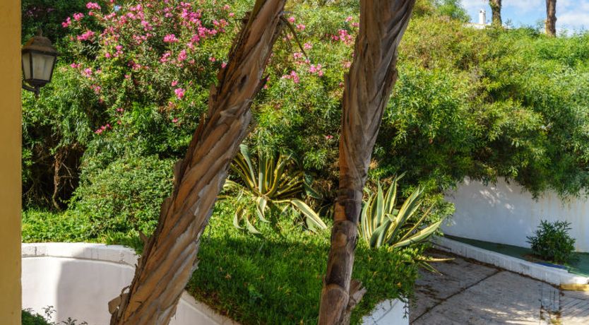 Photo of Cabopino Apartment 2