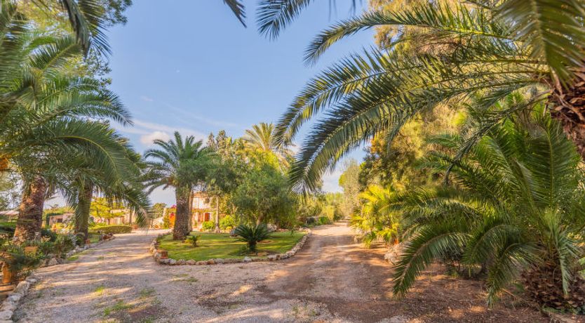 Photo of Ses Sitjoles