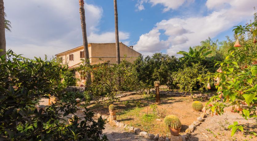 Photo of Ses Sitjoles