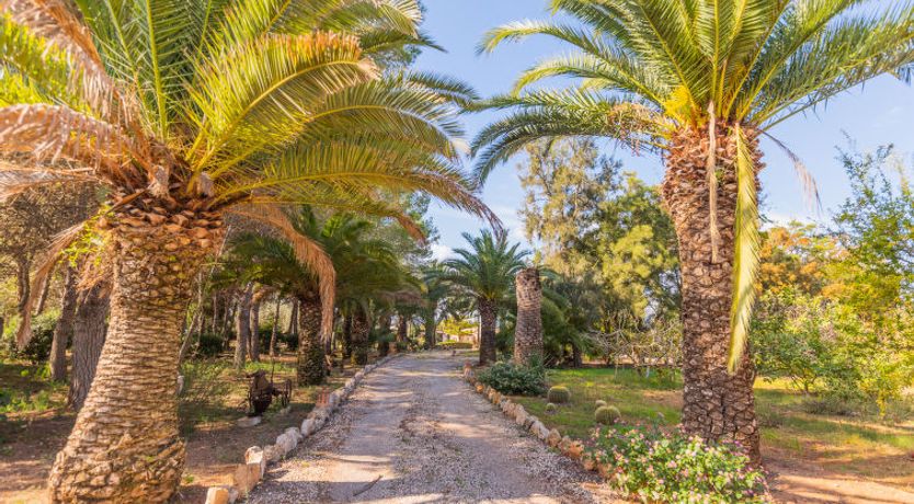 Photo of Ses Sitjoles