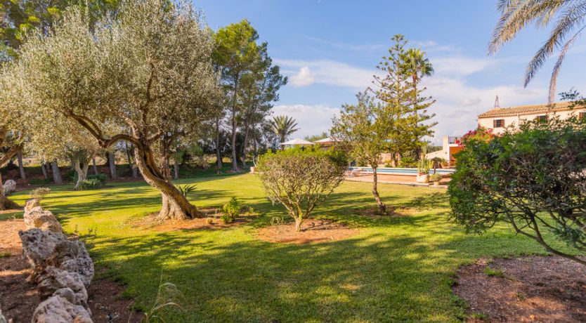 Photo of Ses Sitjoles