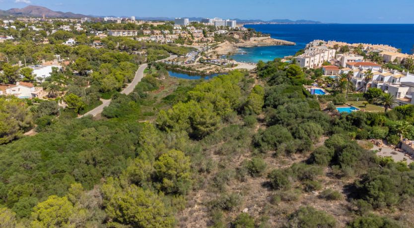 Photo of Murada Lisboa