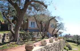 Photo of villa-sara-2