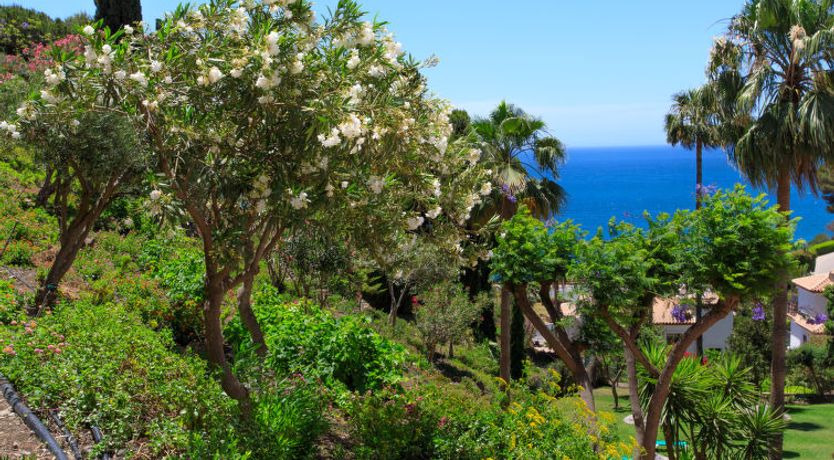 Photo of Ladera del Mar