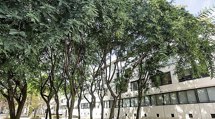 Photo of Vila Olimpica Pamplona