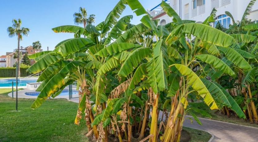 Photo of Mirador del Saltillo