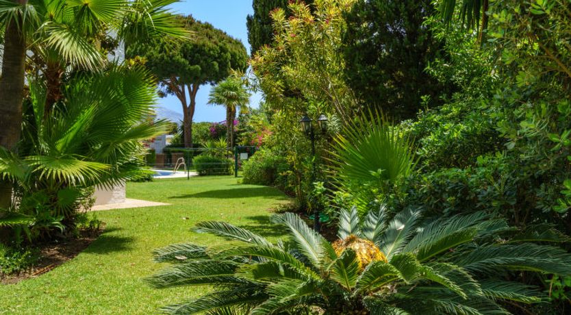 Photo of Las Acacias Apartment 3