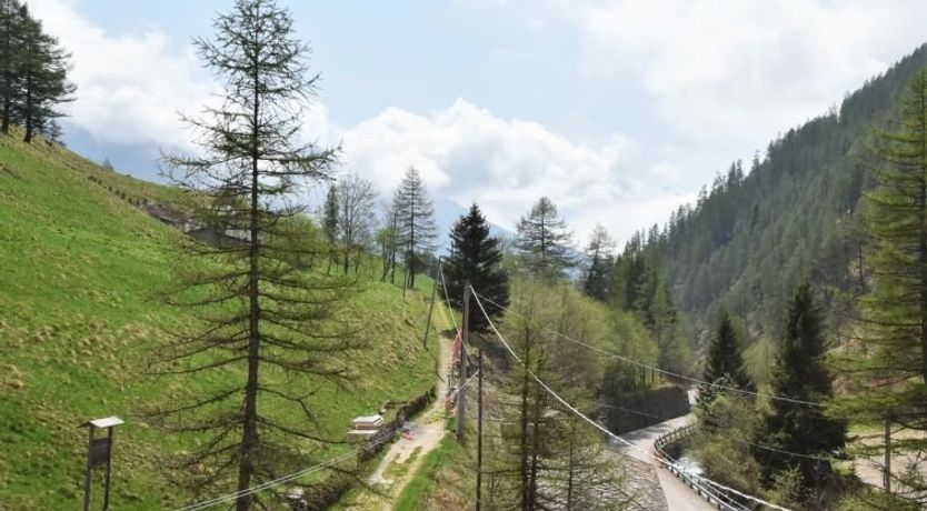 Photo of Nido dello Stelvio