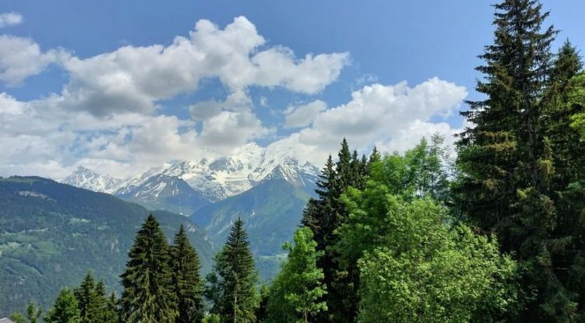 Photo of Les Tétras