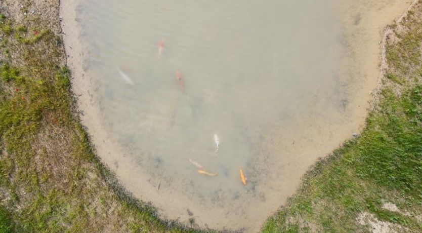 Photo of "Malinda" - 500m from the sea