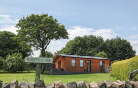 Photo of harrys-lodge