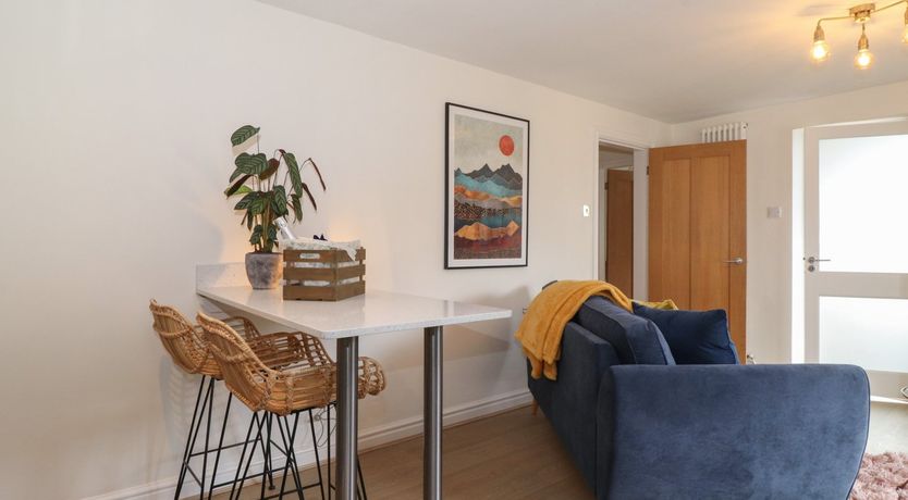 Photo of The Sunflower