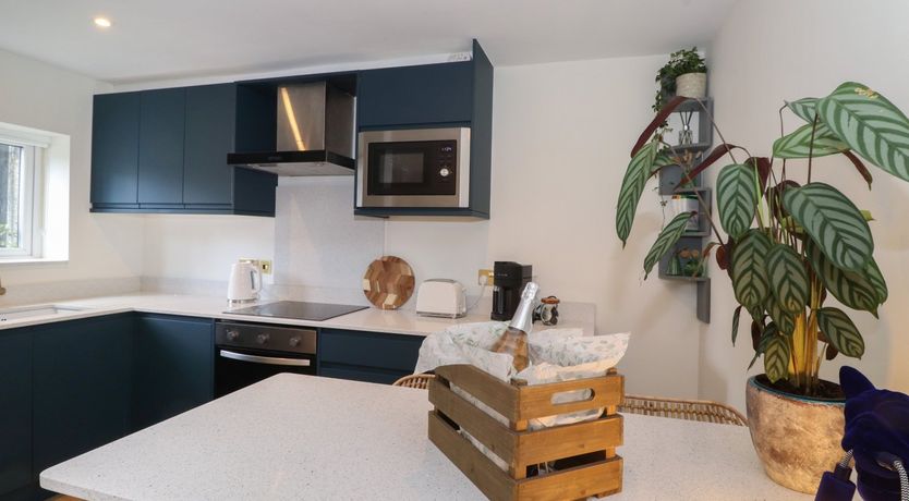 Photo of The Sunflower