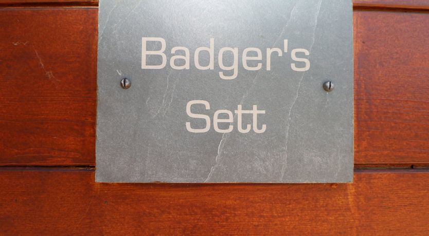 Photo of Badgers Sett