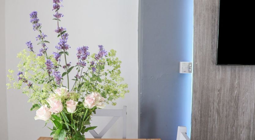 Photo of Harbour View